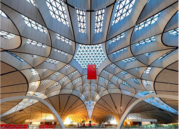 我與祖國(guó)共奮進(jìn)！